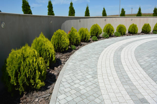 Best Brick Paver Driveways in Shenandoah, TX